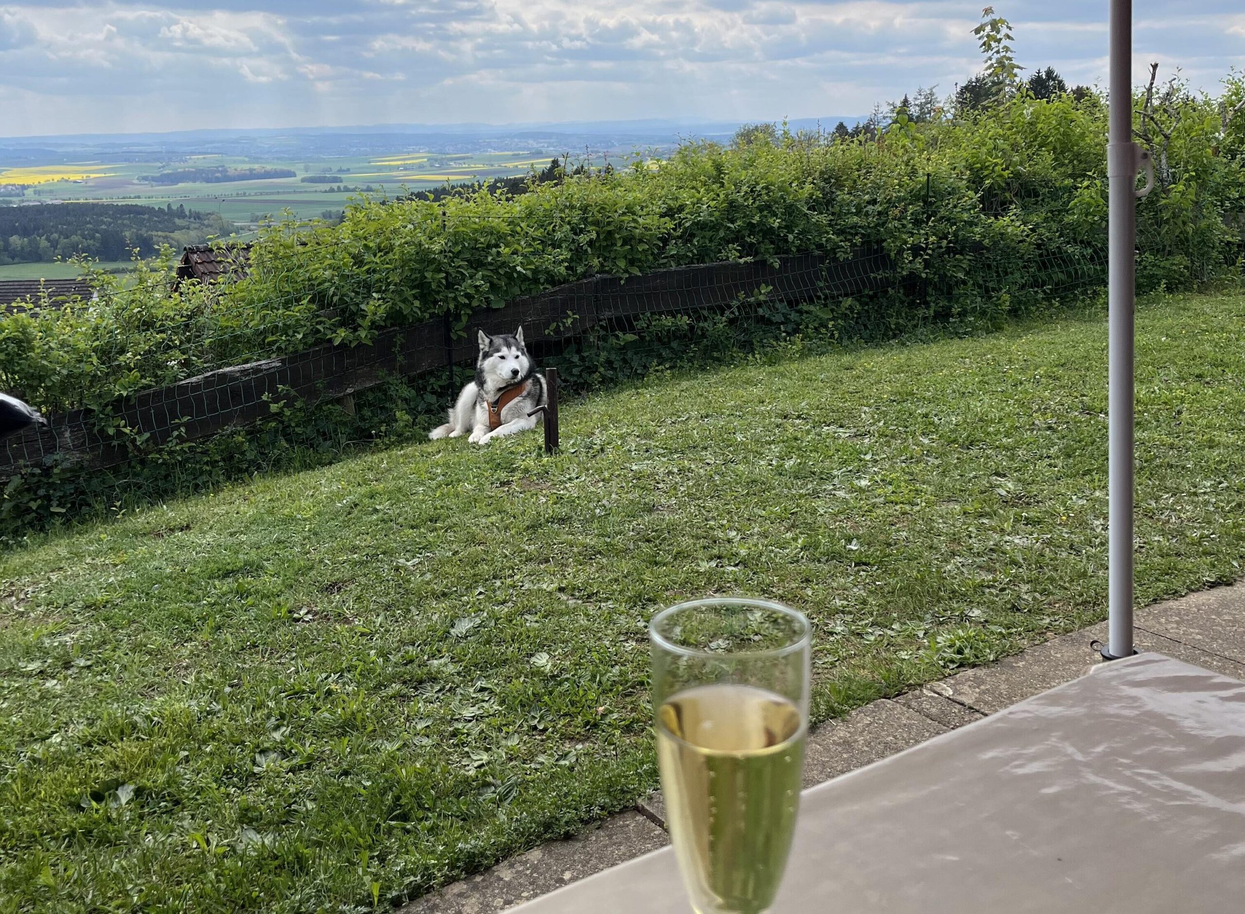 Terrassenmoment mit Ausblick und Genuss