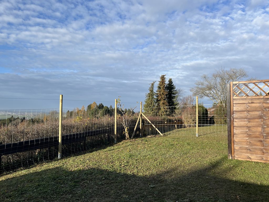 Ferienhaus Schwarzwald mit eingezäuntem Garten für Hunde