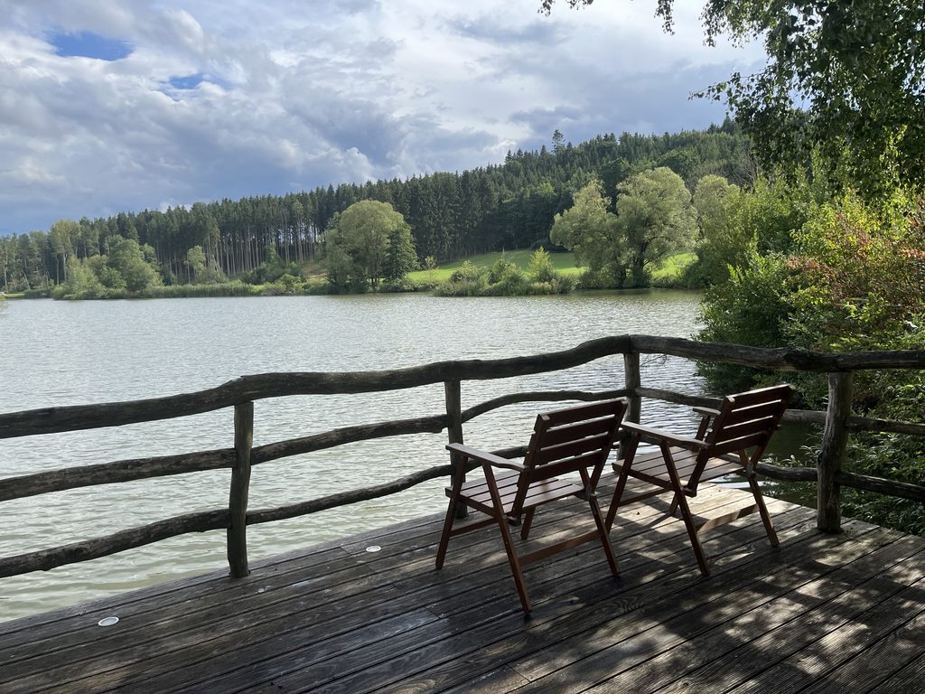 Niederwiesensee in Unterbaldingen bei Bad Dürrheim im Schwarzwald