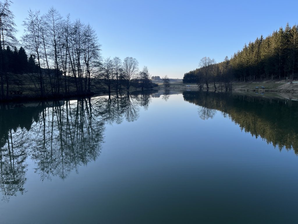 Öfinger See bei Bad Dürrheim im Schwarzwald – ruhige Natur