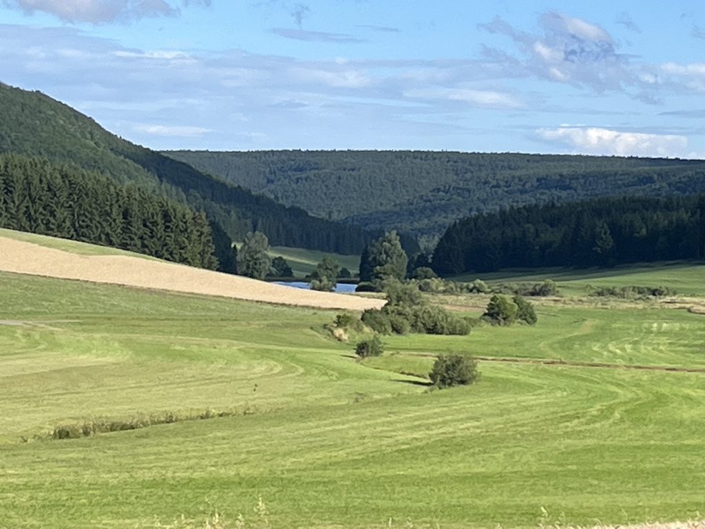 Öfinger See im Schwarzwald bei Bad Dürrheim – zwischen Wäldern gelegen