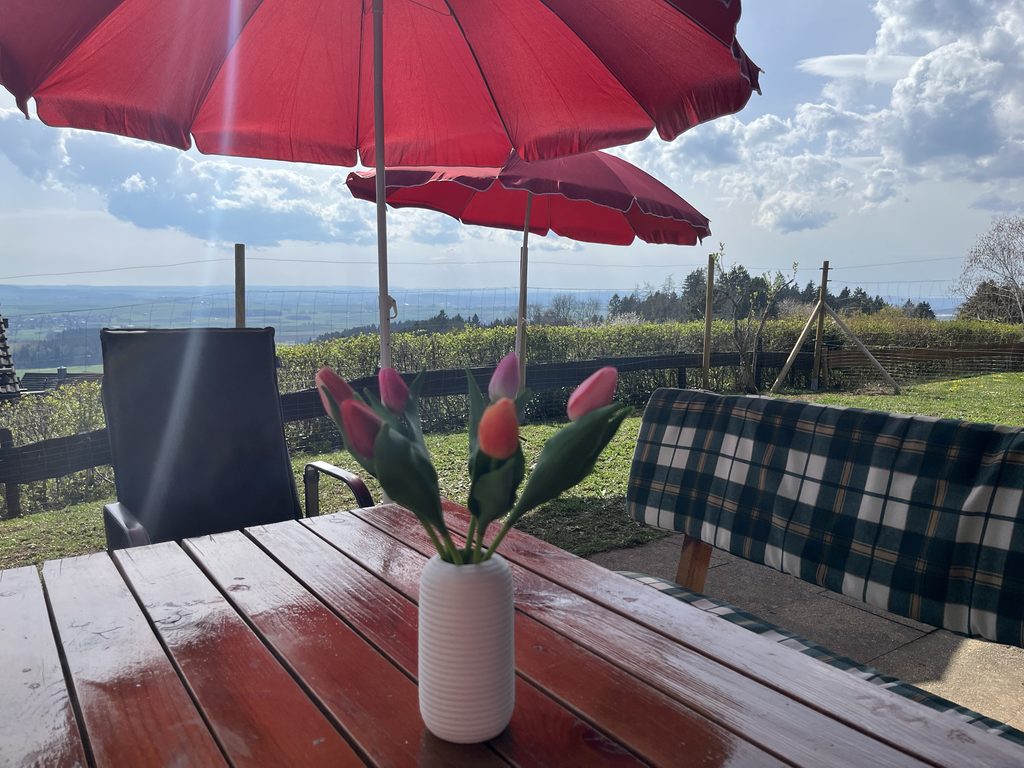 Terrasse mit Ausblick im Ferienhaus Schwarzwald