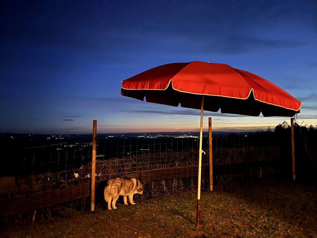 Abenddämmerung auf der Terrasse im Schwarzwald mit Hund