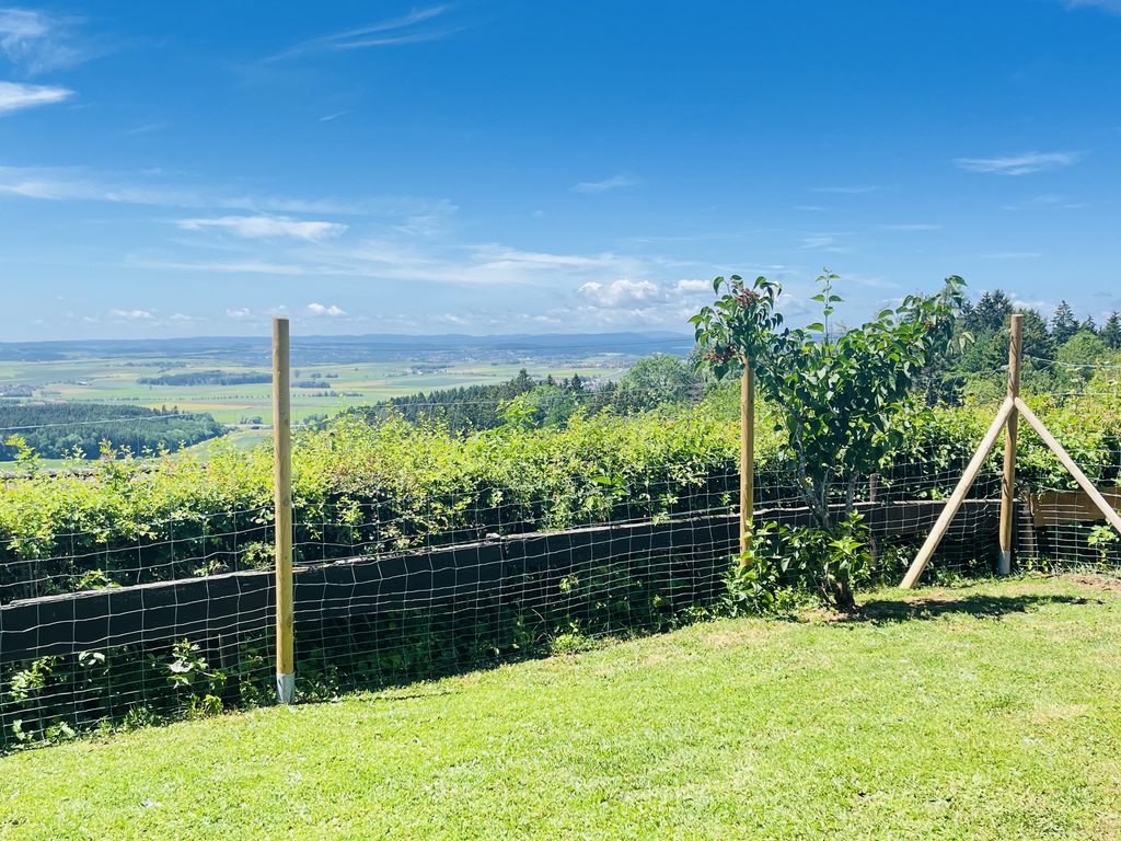 Großer, gepflegter Garten des Ferienhauses Munz mit freiem Blick auf die idyllische Landschaft und die umliegende Natur.