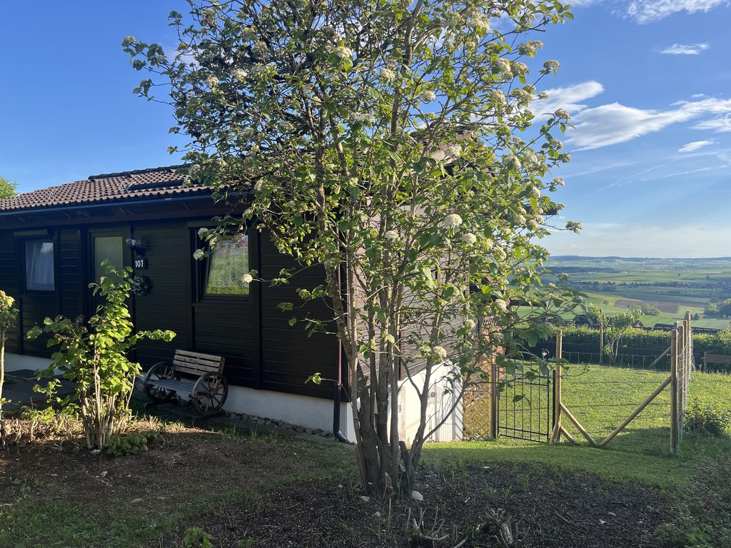 ferienhaus schwarzwald hund urlaub.jpg