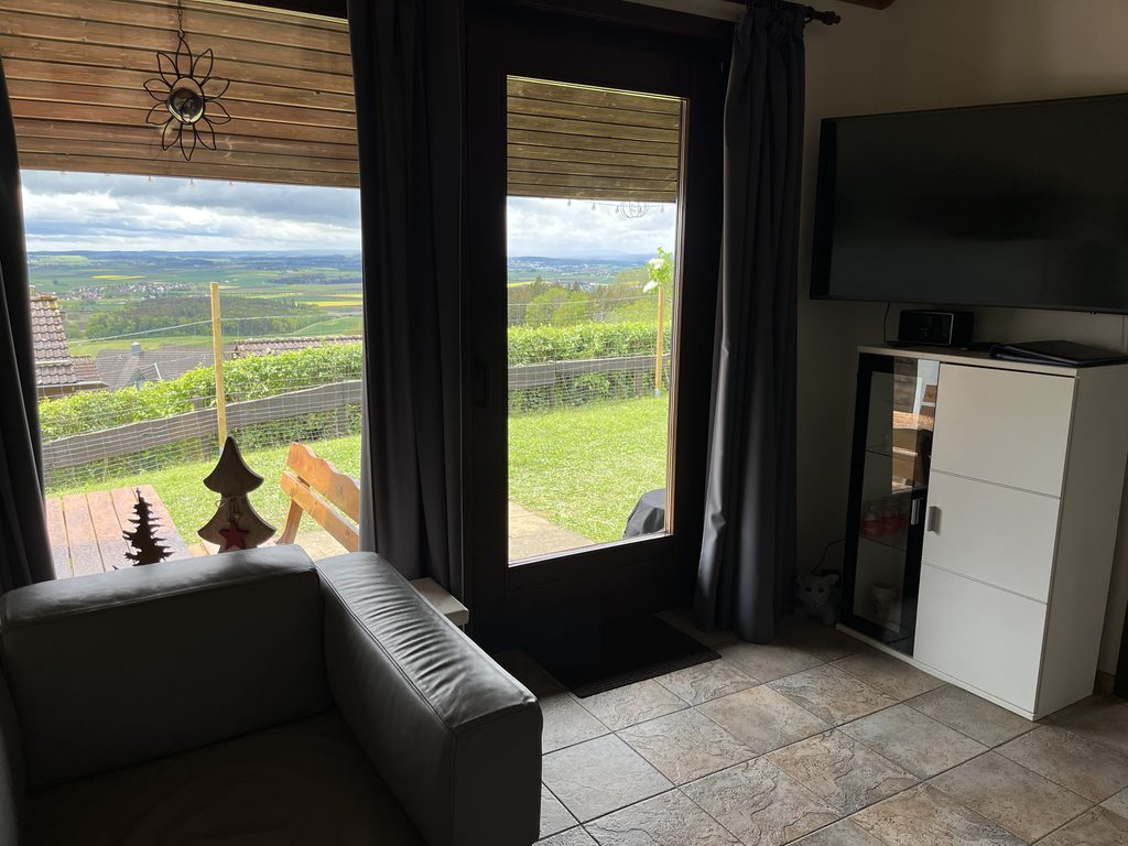 Wohnzimmer mit TV und Radio im Ferienhaus Schwarzwald